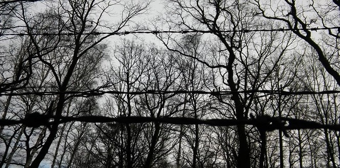 Enseigner la Shoah : une histoire française