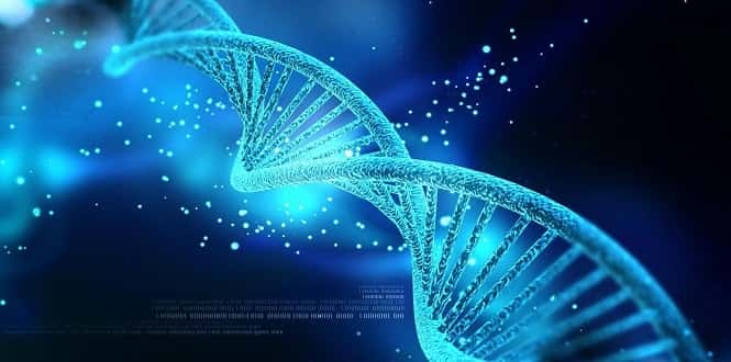 Deux MOOC sur la biologie